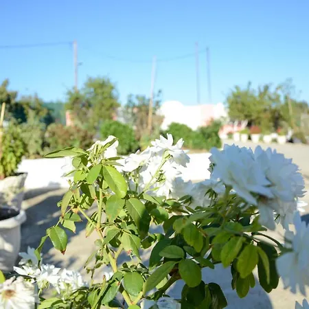 Vicky Corfu Vakantiehuis Ágios Ioánnis