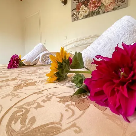 Vicky Corfu Ágios Ioánnis